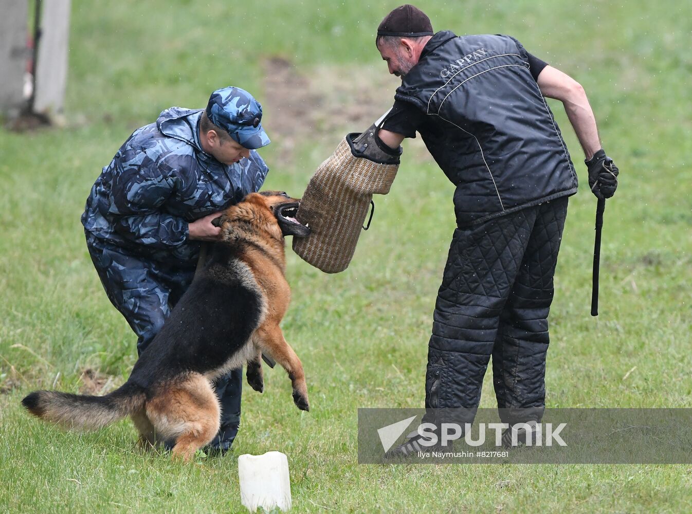 Russia Dog Handlers Competition