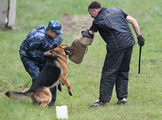 Russia Dog Handlers Competition