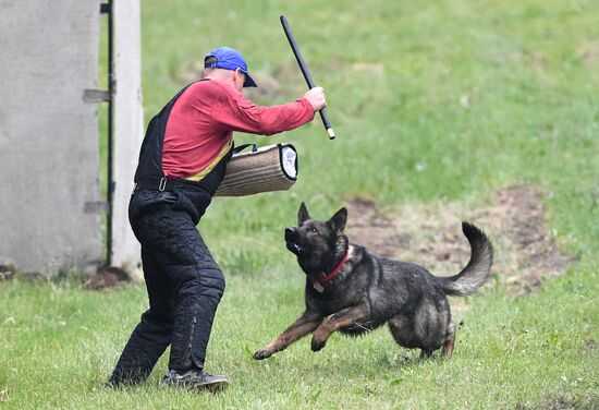 Russia Dog Handlers Competition