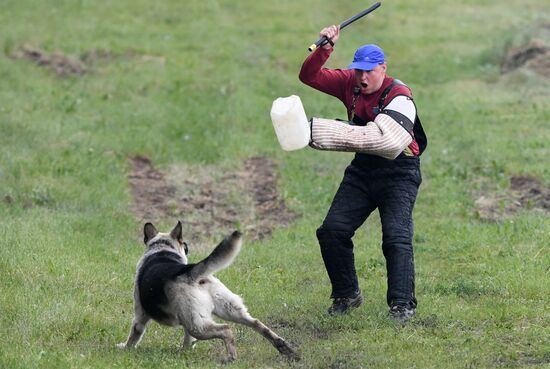 Russia Dog Handlers Competition
