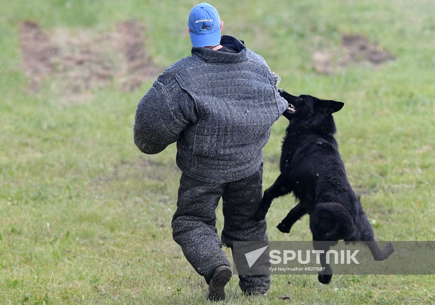Russia Dog Handlers Competition