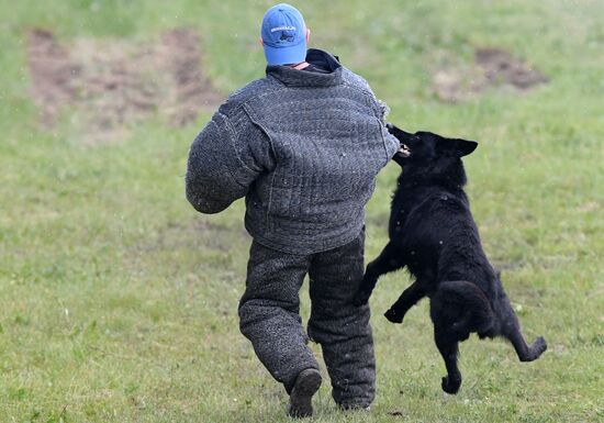 Russia Dog Handlers Competition