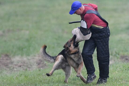 Russia Dog Handlers Competition