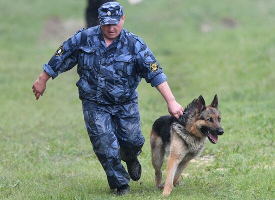 Russia Dog Handlers Competition