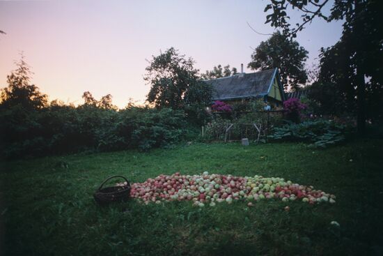 Belarusian bee-keeper Pimen Rusalovsky