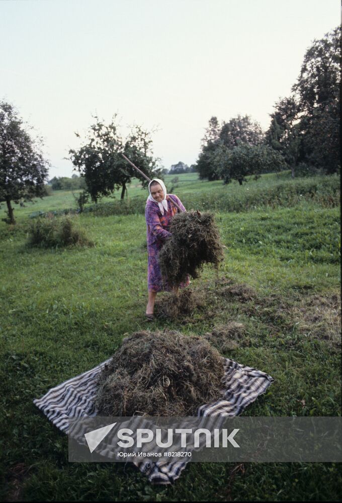 Belarusian bee-keeper Pimen Rusalovsky
