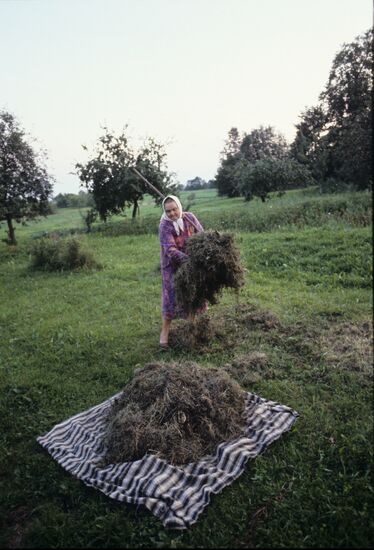 Belarusian bee-keeper Pimen Rusalovsky