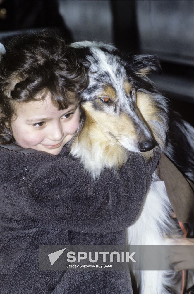 1st Moscow International Pet Auction