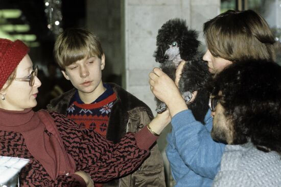 1st Moscow International Pet Auction