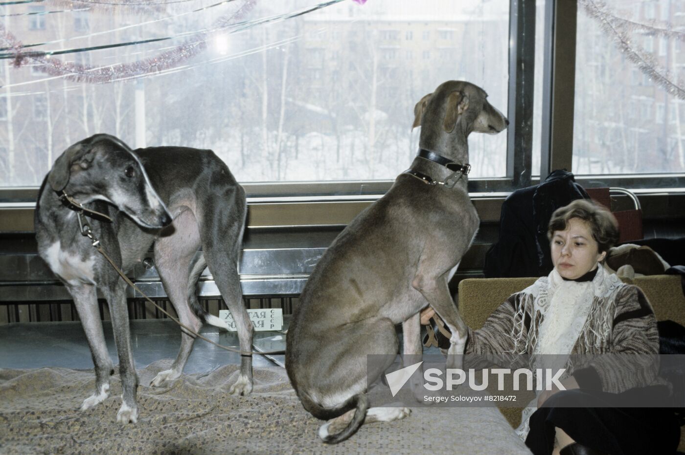 1st Moscow International Pet Auction