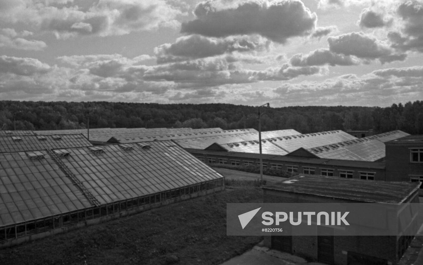 Lenin Collective Farm in Gorki