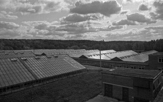Lenin Collective Farm in Gorki