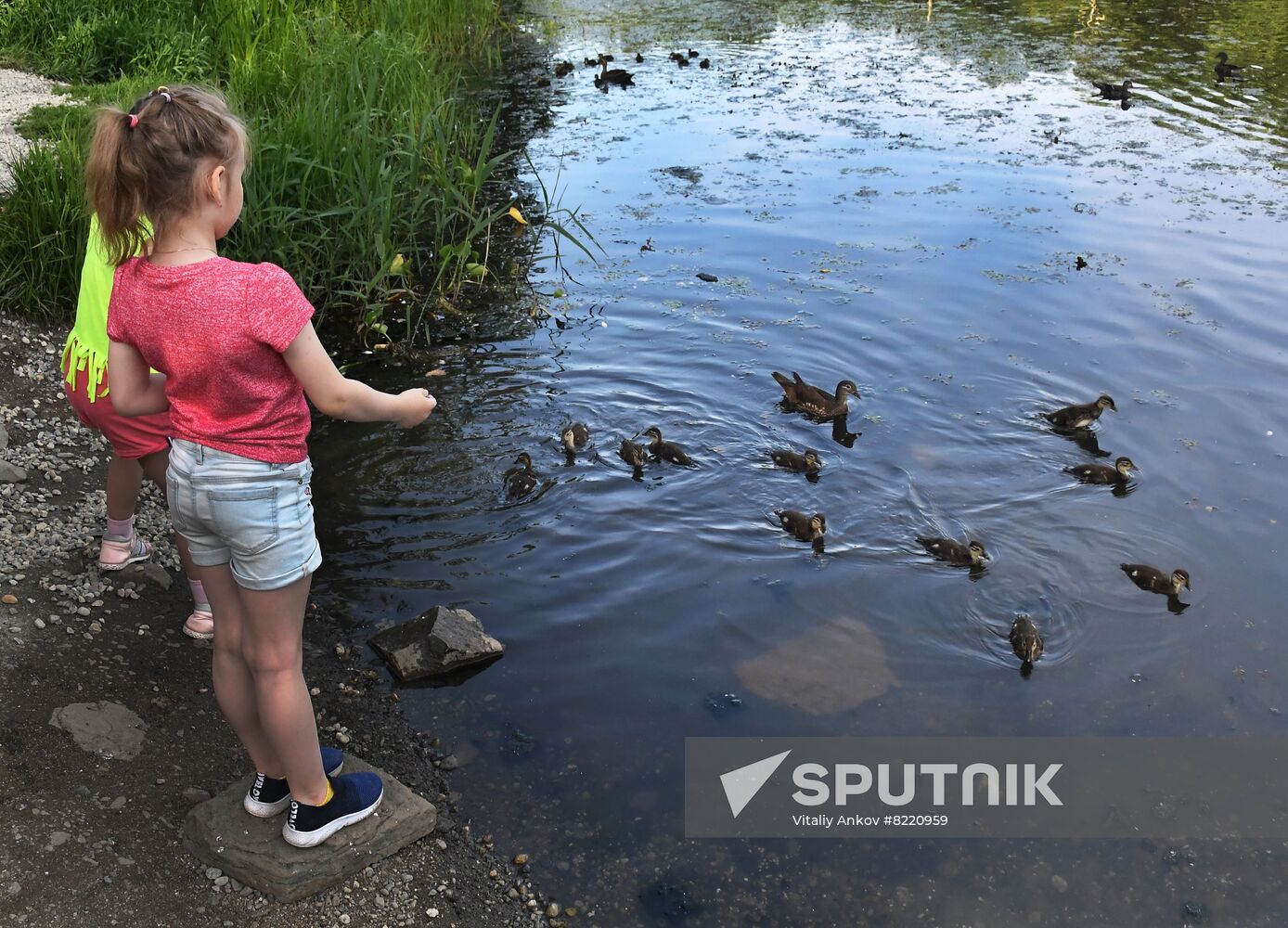 Russia Wildlife