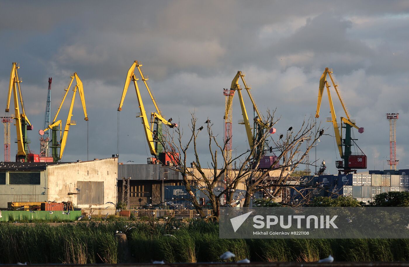 Russia Kaliningrad Sea Port