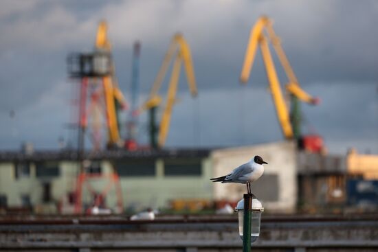 Russia Kaliningrad Sea Port