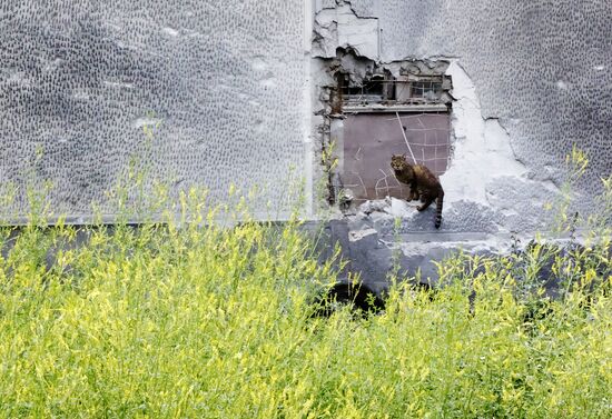 DPR Russia Ukraine Military Operation