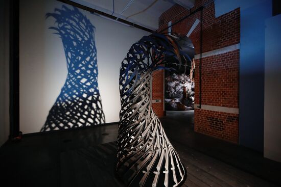 Russia Art Thinking Landscape Exhibition