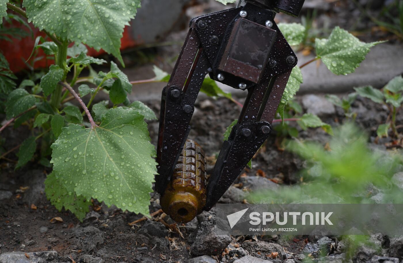 DPR Russia Ukraine Military Operation Demining