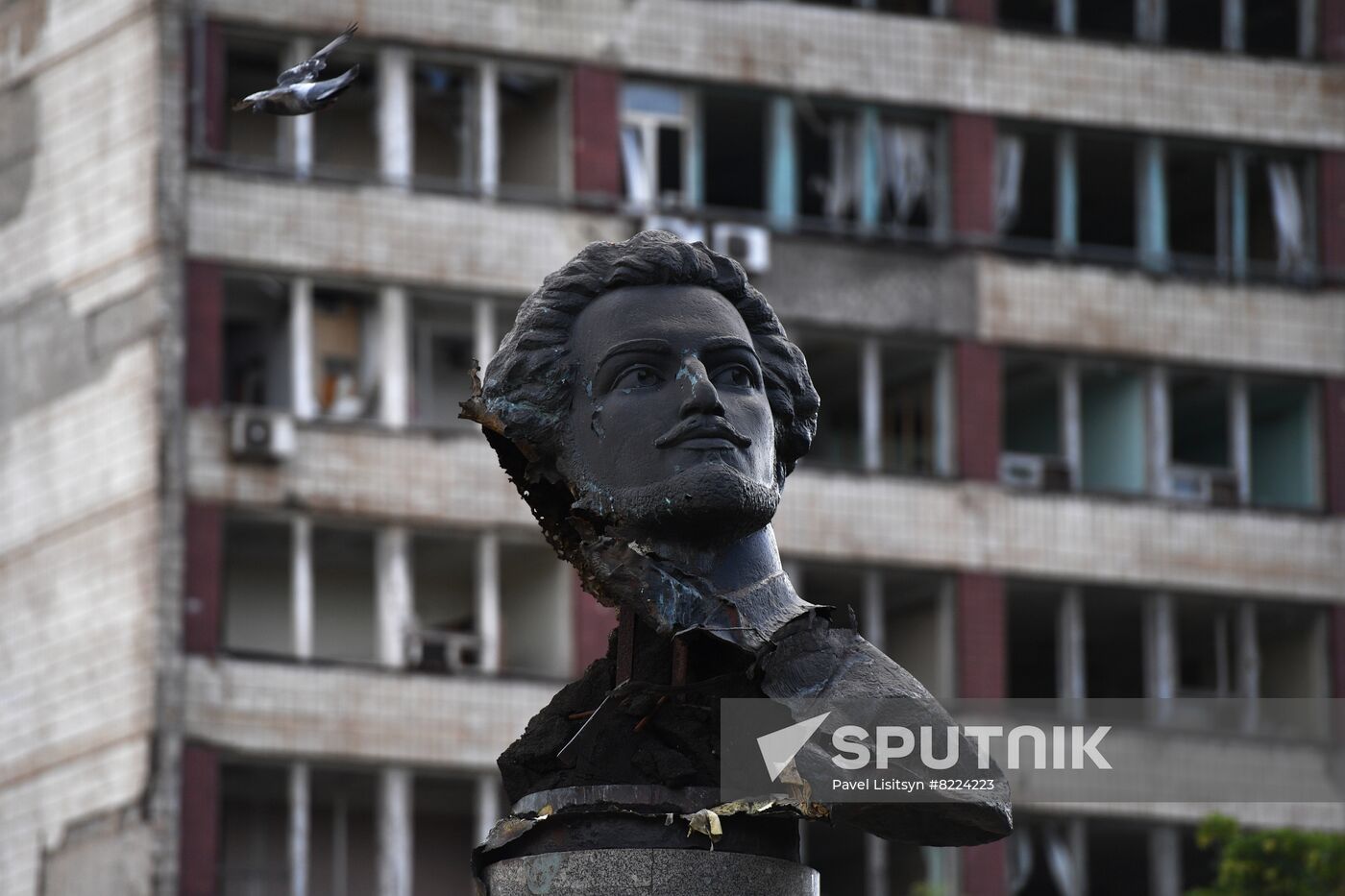 DPR Russia Ukraine Military Operation Daily