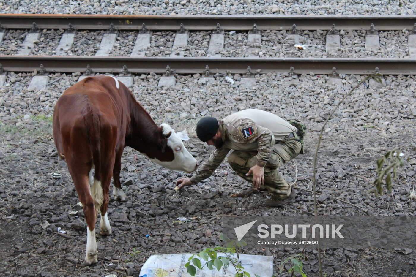 LPR Russia Ukraine Military Operation