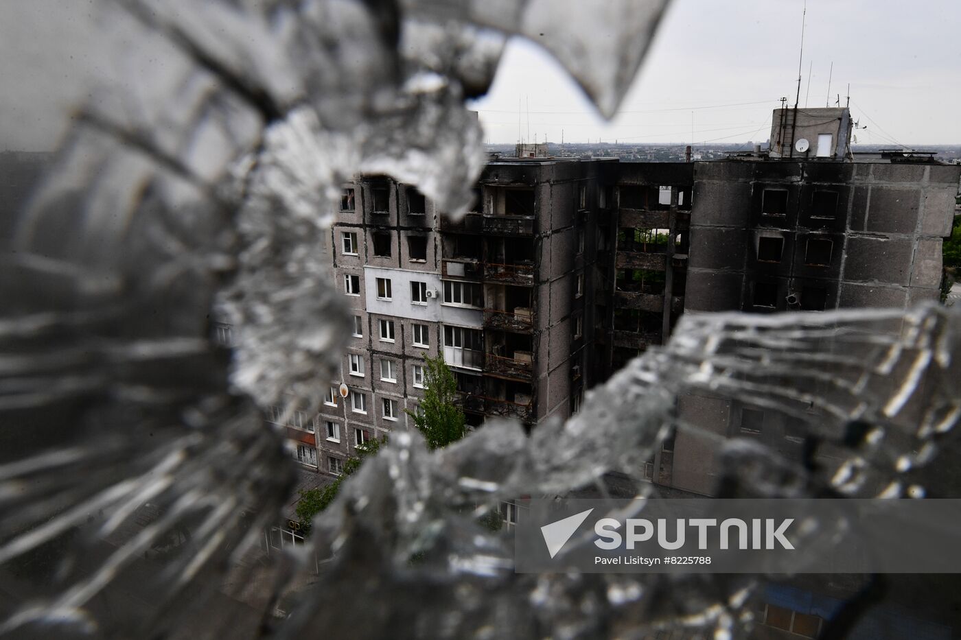 DPR Russia Ukraine Military Operation Daily