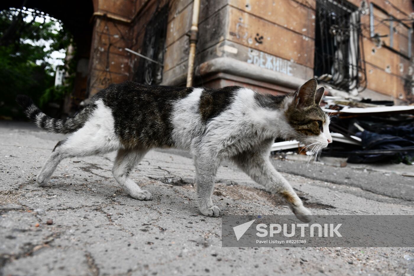 DPR Russia Ukraine Military Operation Daily