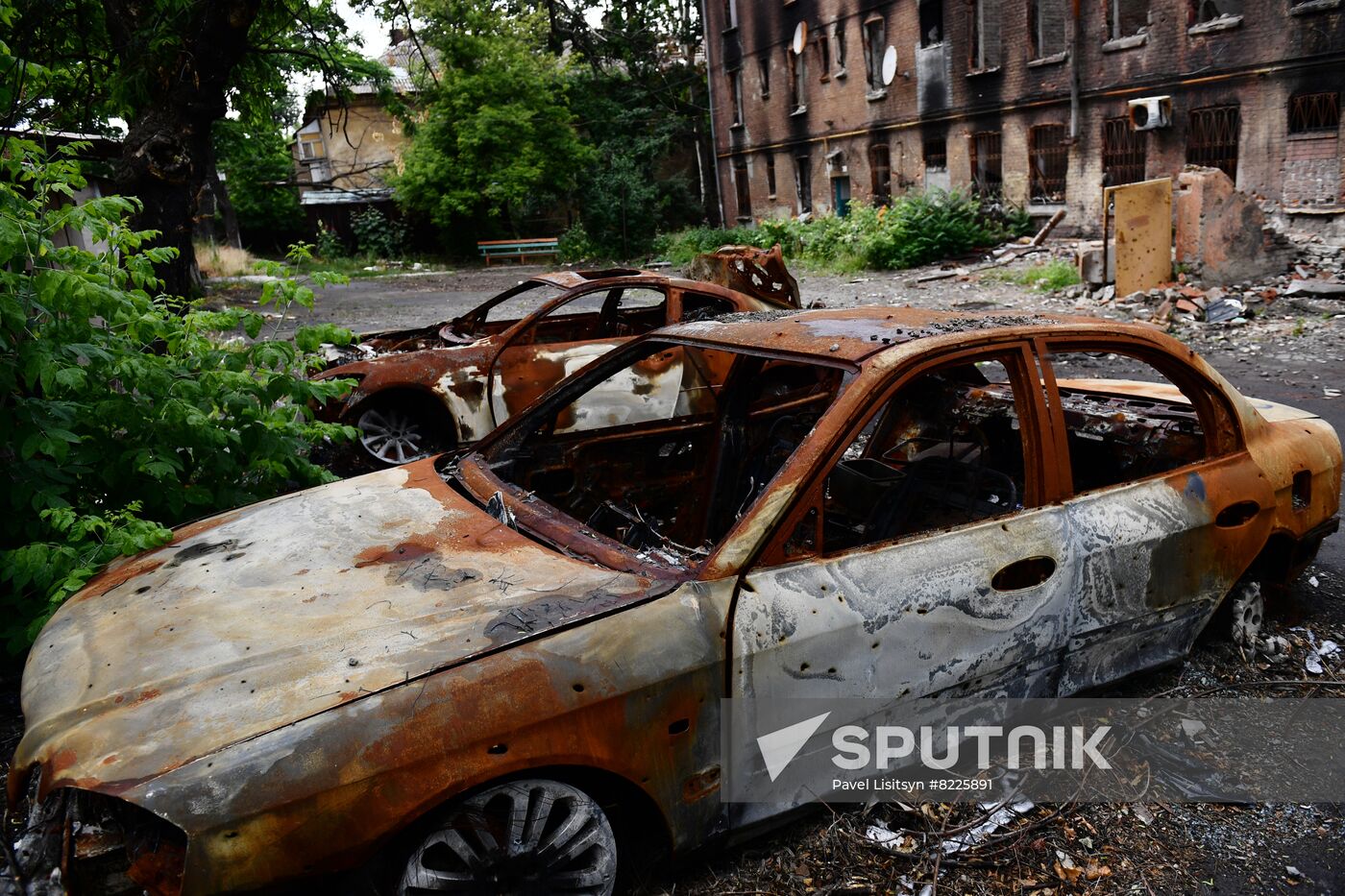 DPR Russia Ukraine Military Operation Daily