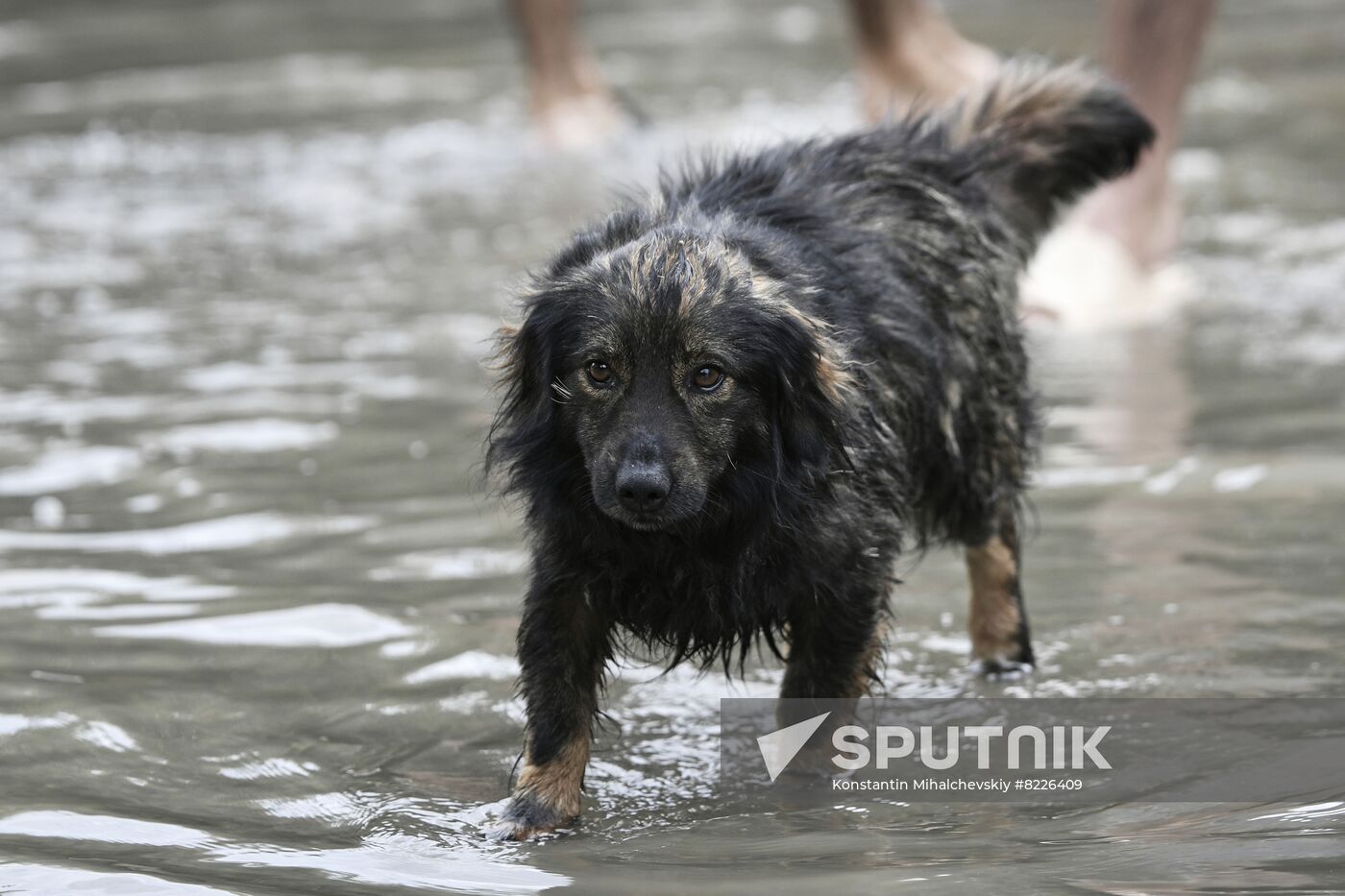 Russia Crimea Floods