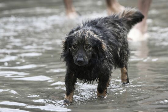 Russia Crimea Floods