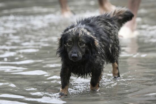 Russia Crimea Floods