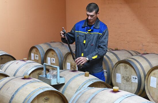 Russia Wine Industry