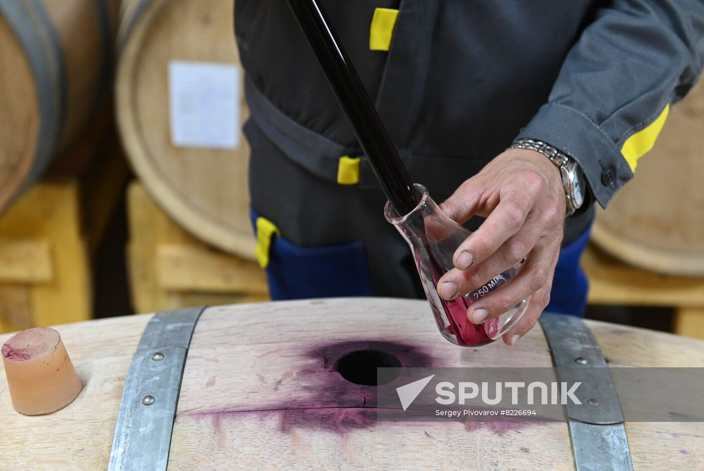 Russia Wine Industry