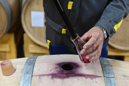 Russia Wine Industry