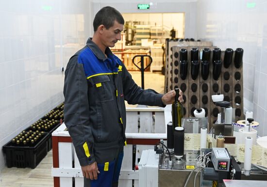 Russia Wine Industry