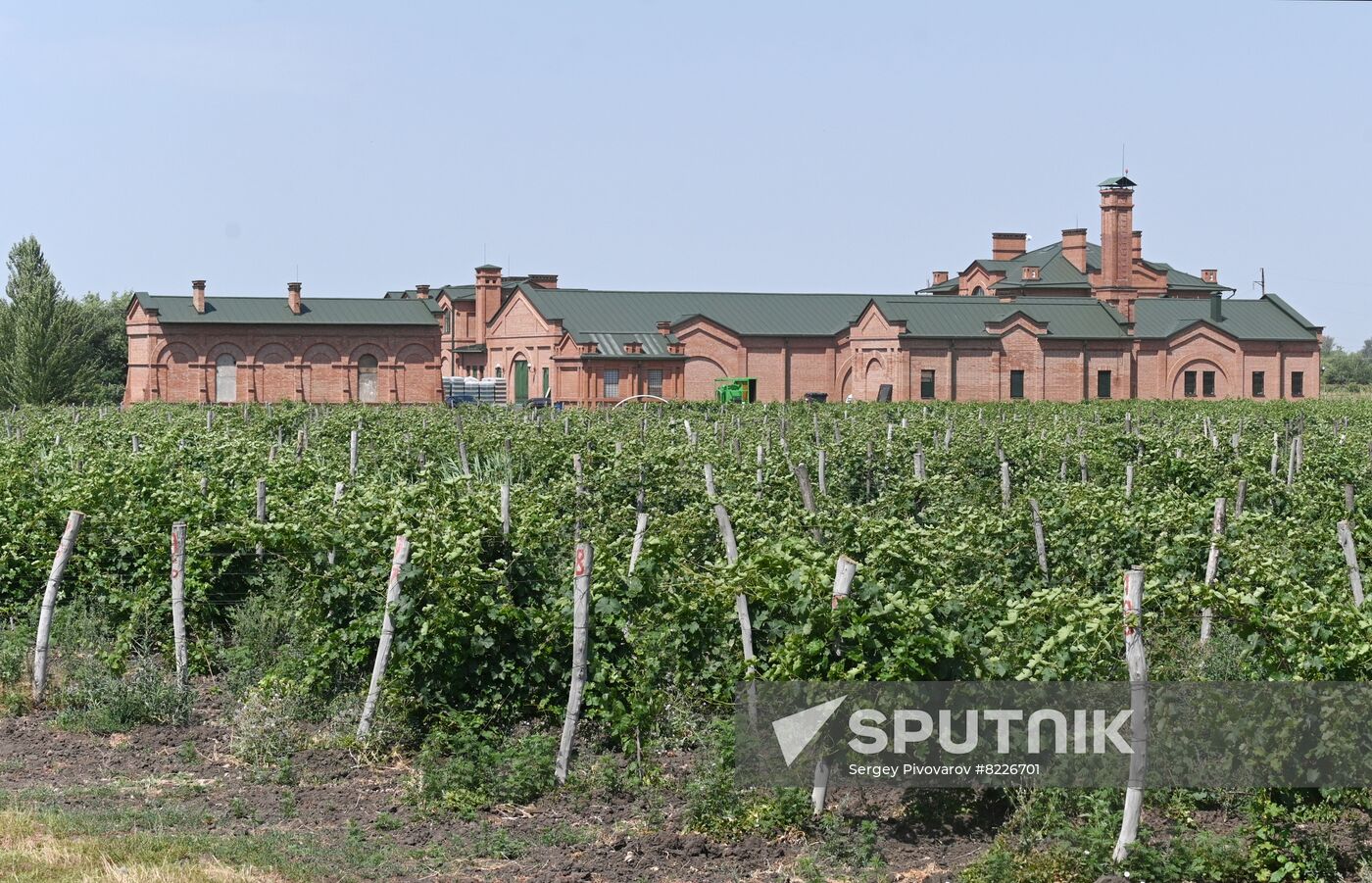 Russia Wine Industry