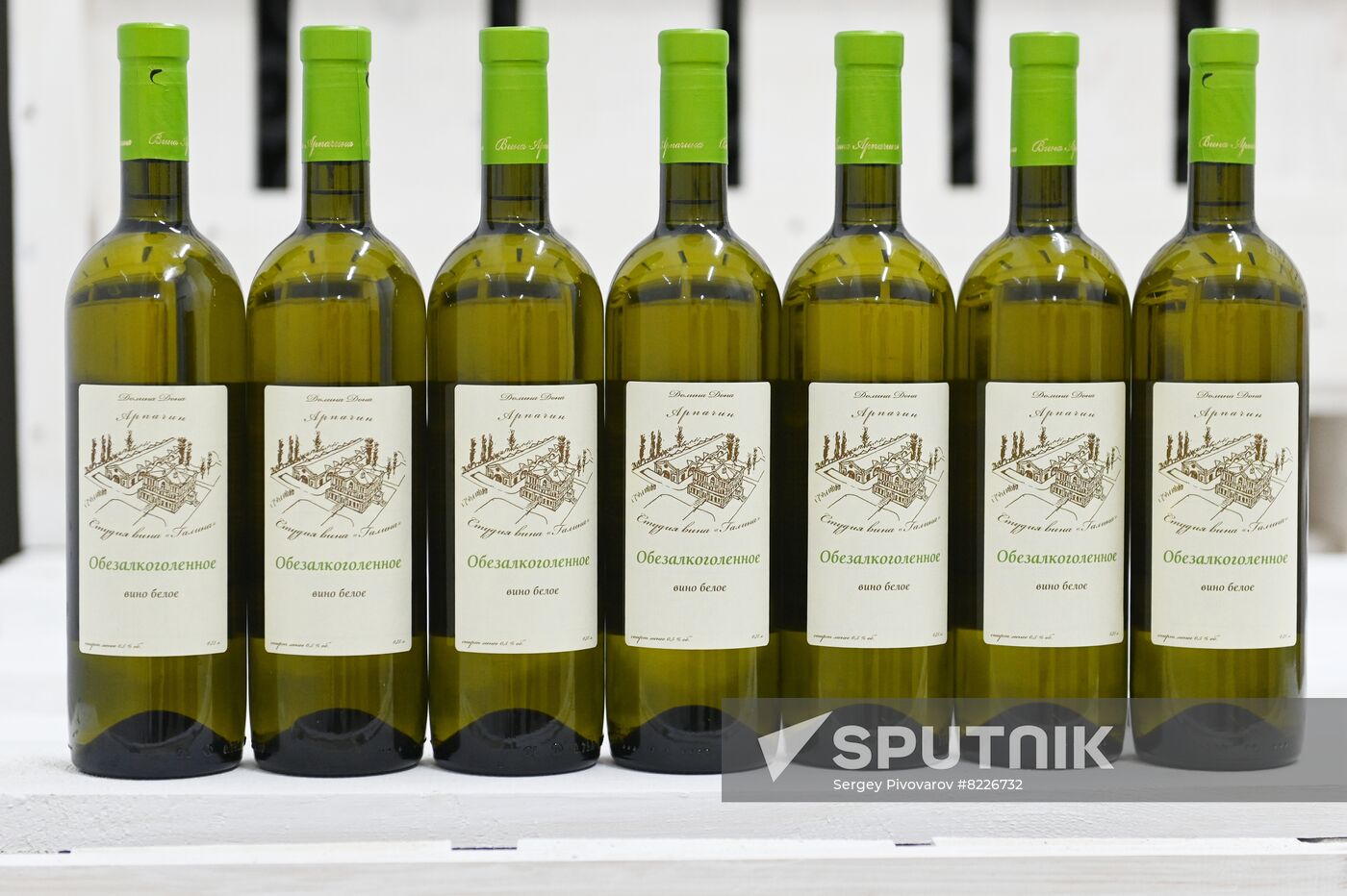 Russia Wine Industry