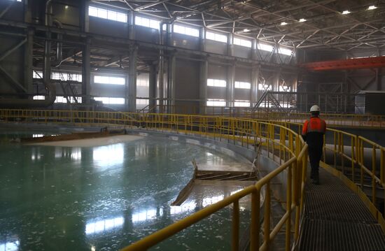 Russia Chemical Industry Mineral Fertilizers