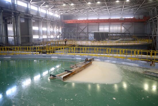 Russia Chemical Industry Mineral Fertilizers