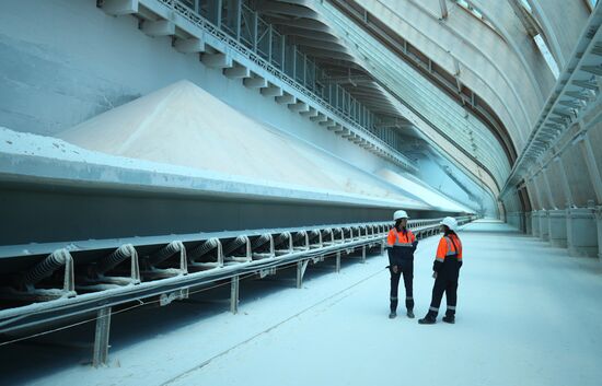 Russia Chemical Industry Mineral Fertilizers