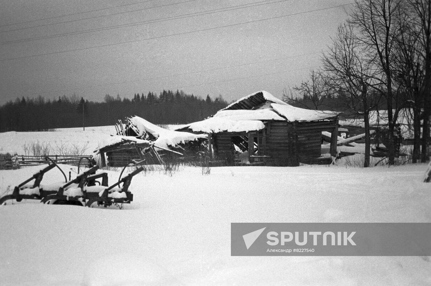 Farming in Novgorod Region