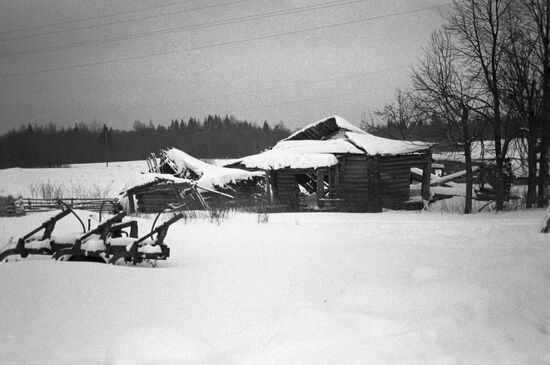 Farming in Novgorod Region
