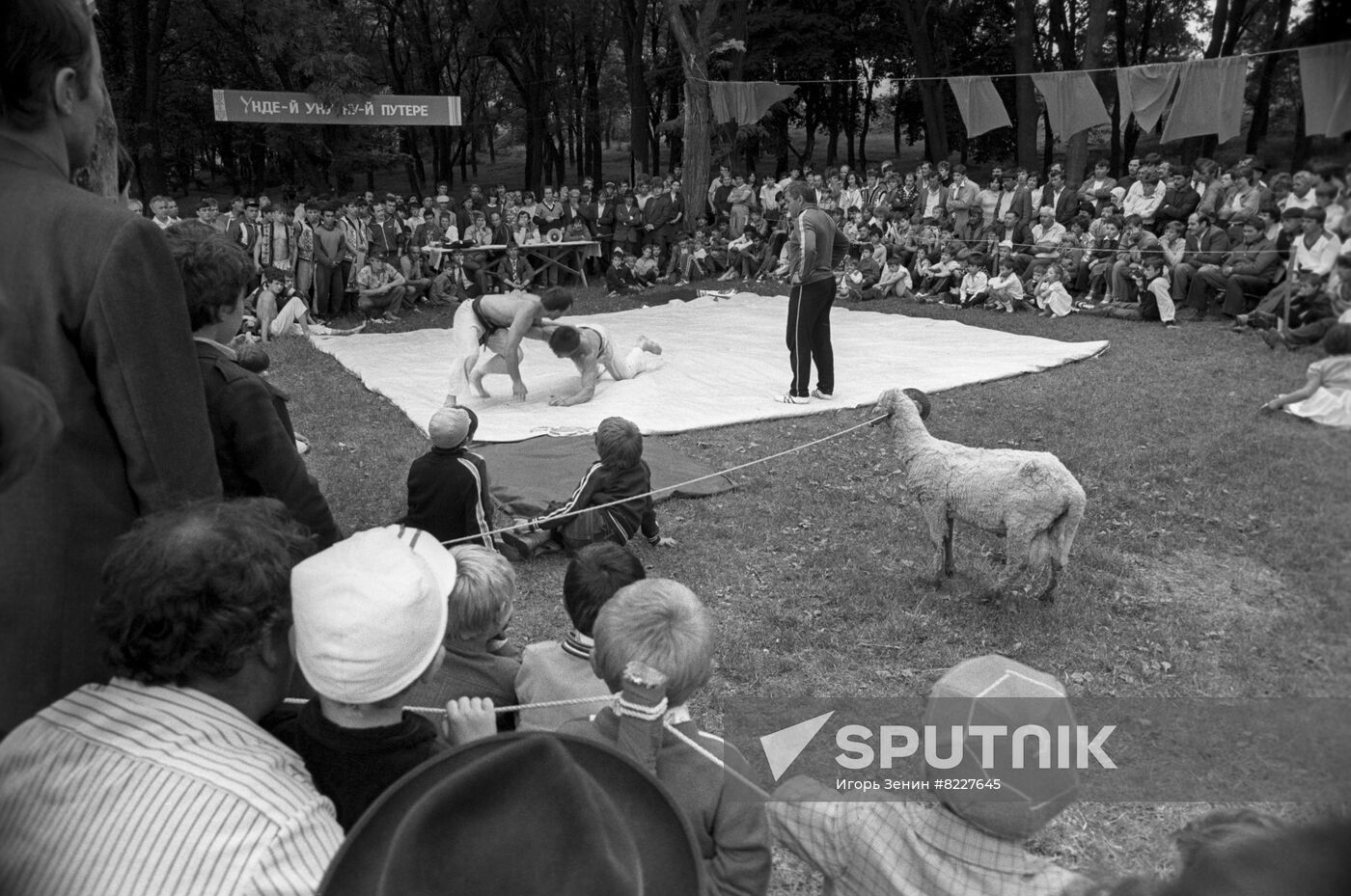 Tranta wrestling