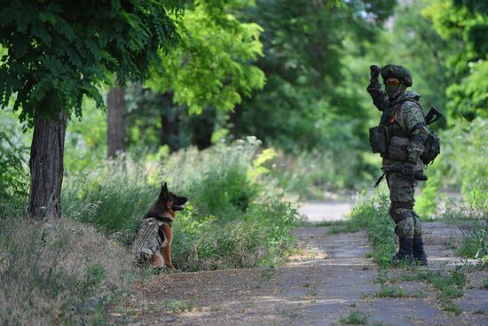 DPR Russia Ukraine Military Operation Demining