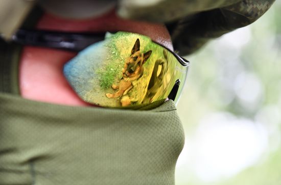 DPR Russia Ukraine Military Operation Demining