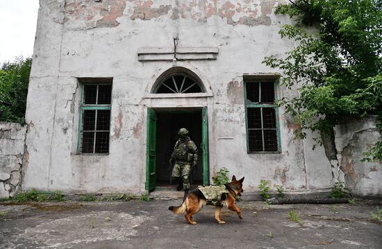 DPR Russia Ukraine Military Operation Demining