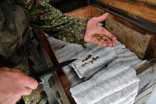 DPR Russia Ukraine Military Operation Demining