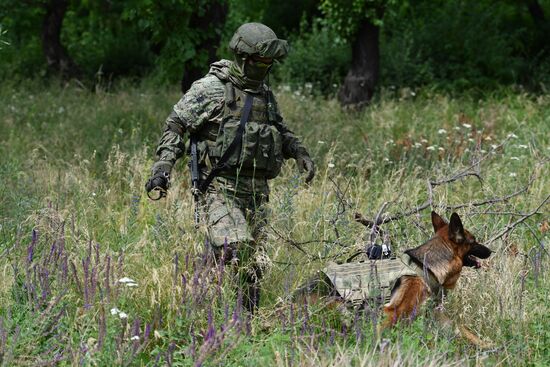 DPR Russia Ukraine Military Operation Demining
