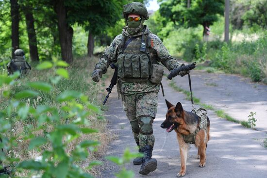 DPR Russia Ukraine Military Operation Demining
