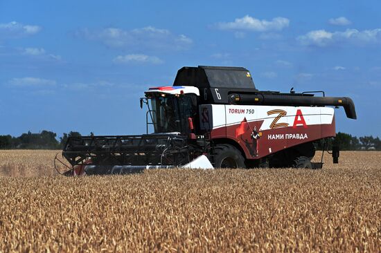 Russia Agriculture Wheat Harvesting
