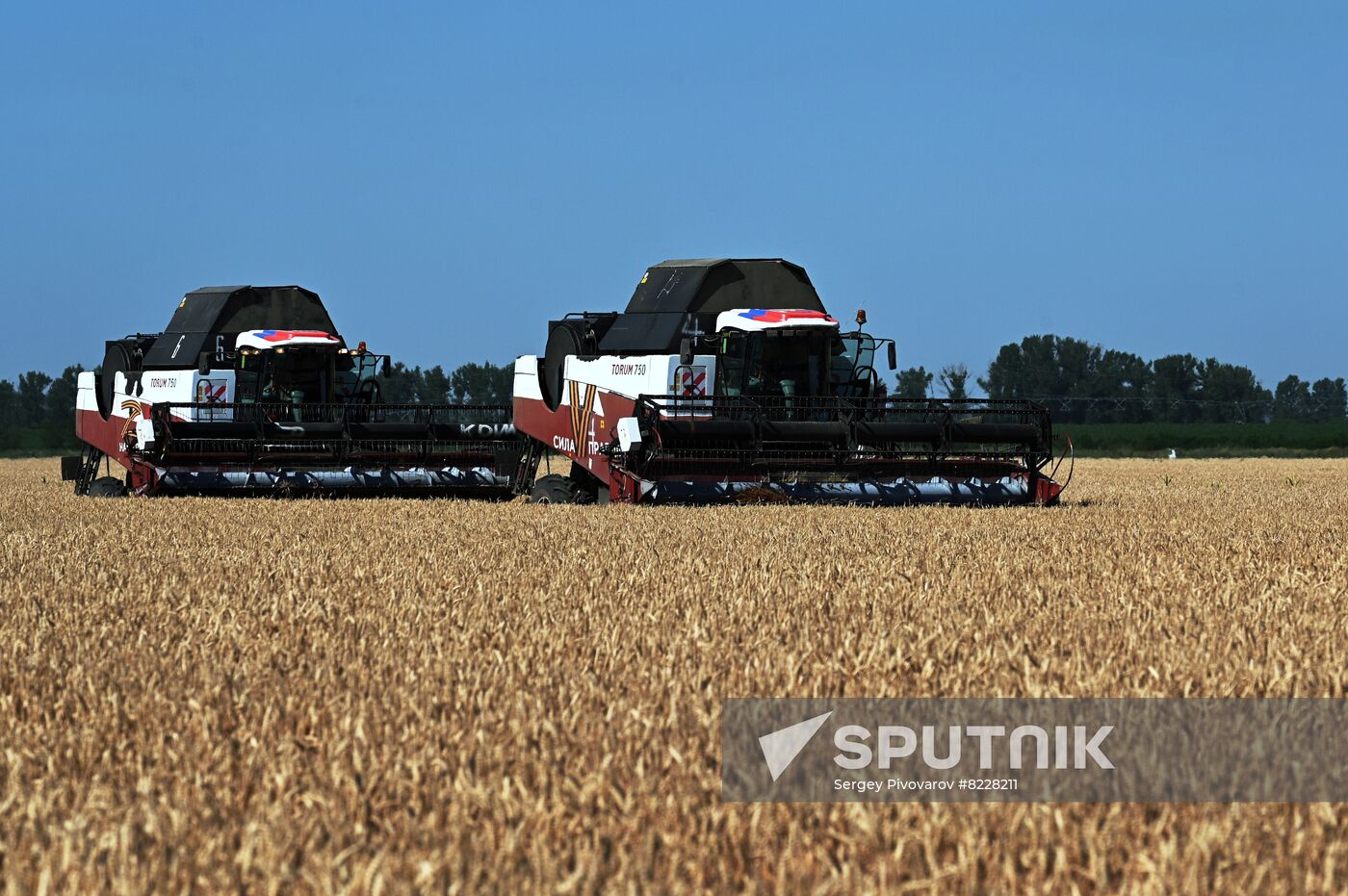 Russia Agriculture Wheat Harvesting